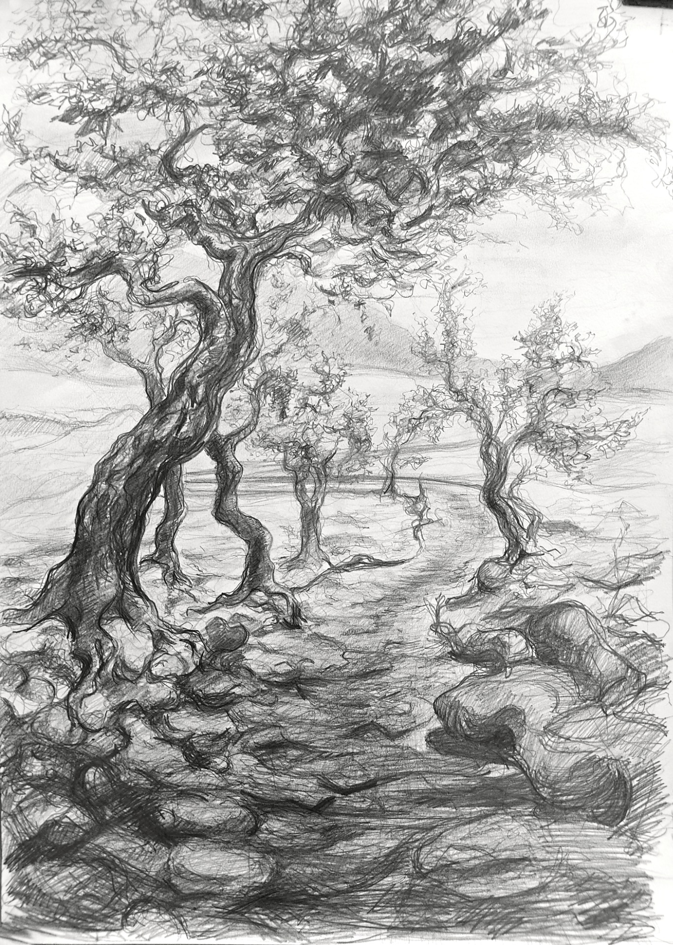 Cesta - kresba tužkou